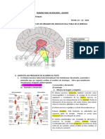 Examen Final Biología Quinto 2021