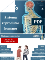 Sistema Reprodutor