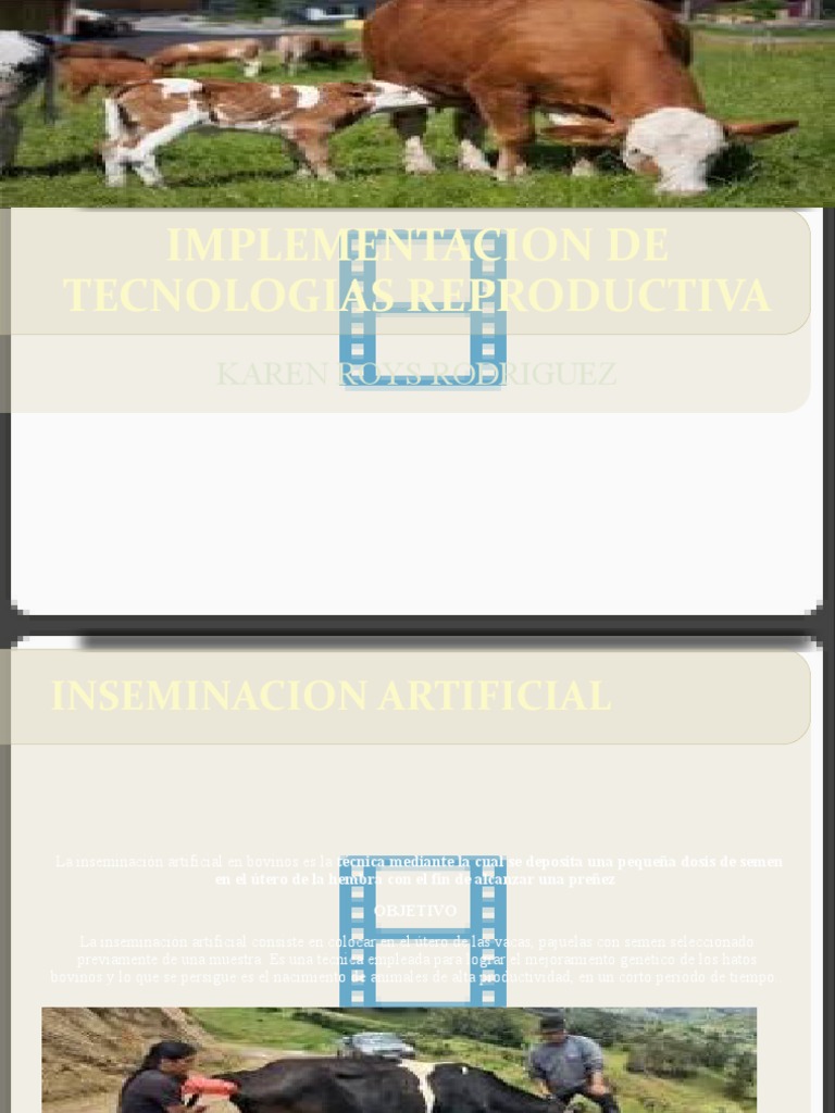 IMPLEMENTACION DE TECNOLOGIAS REPRODUCTIVA Karen PDF