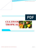 Cultivos Tropicales