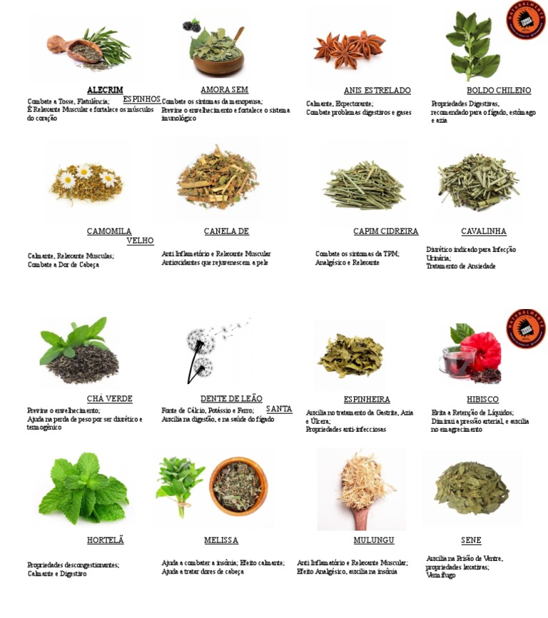 Chás Medicinais e Seus Benefícios | PDF