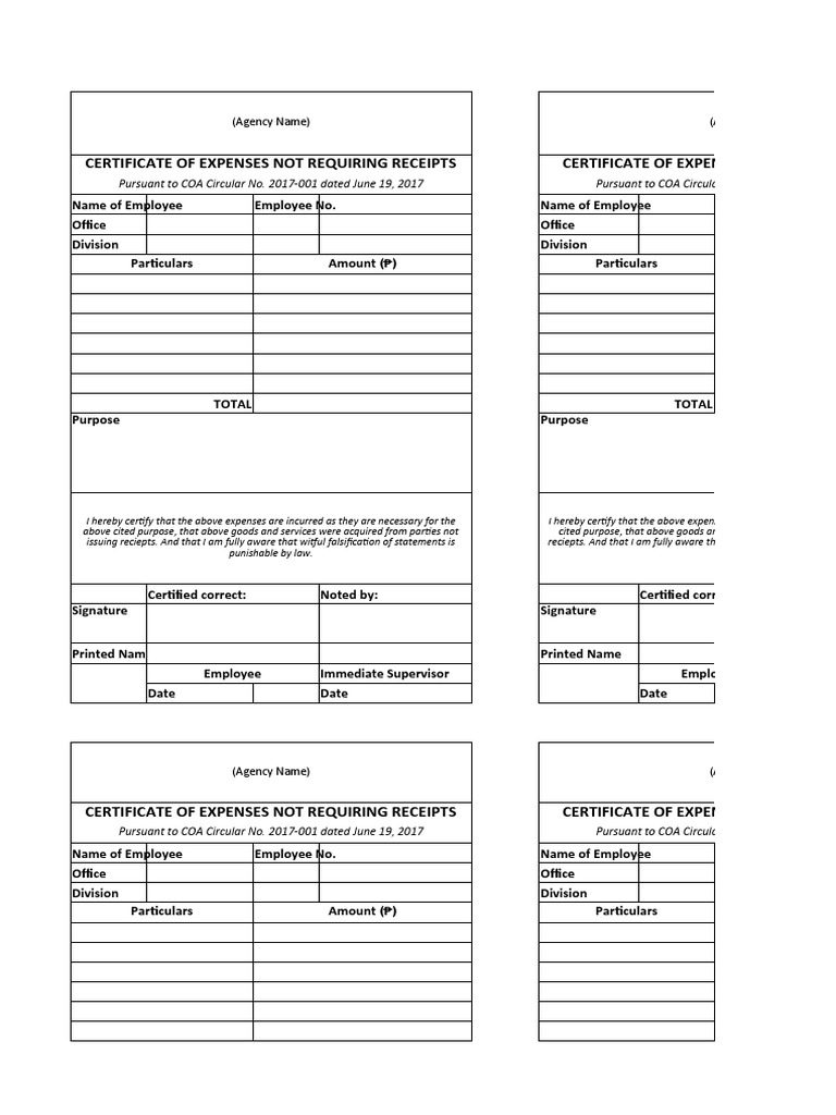 Certificate of Expenses Without Receipts | PDF