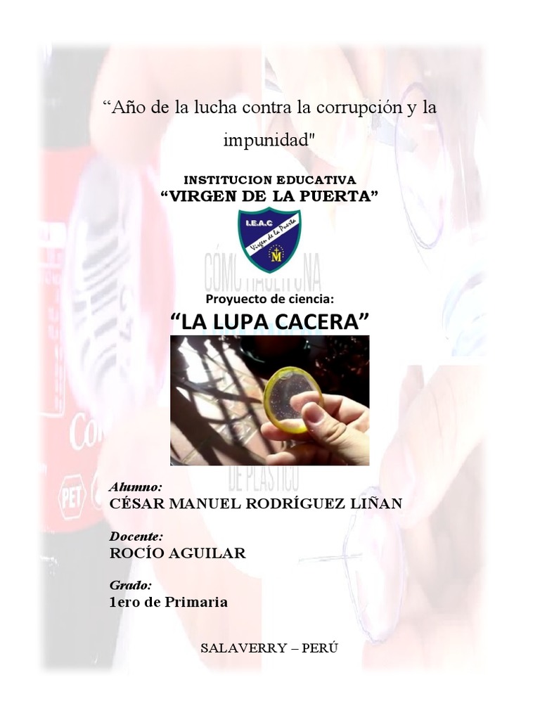 Cómo Hacer una Lupa Casera | PDF