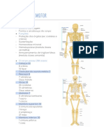 Resumo Sistema Locomotor - BMA