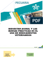 Bienestar-Animal - BPG HD