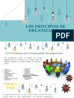 Principos de Organizacion 