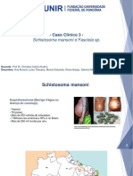 Marcação de Modelo Schistosoma, Fasciola (Salvo Automaticamente)