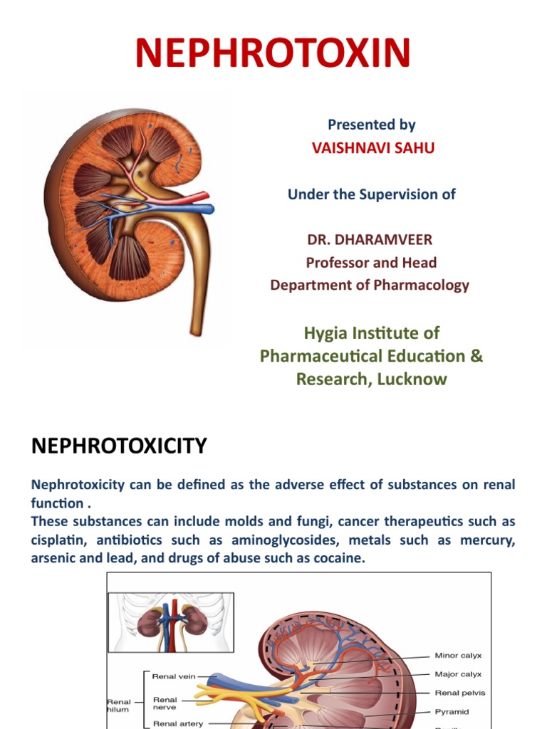 Nephrotoxicity | PDF