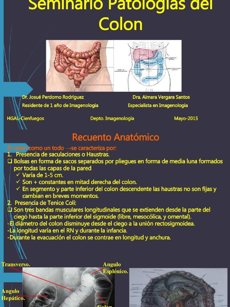 PDF Las Patologias Del Colon en Imagenologia - Compress | PDF