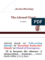 Adrenal Gland by DR Rajnee Ist Part