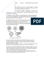 Tarea Nano, Materiales de Carbono