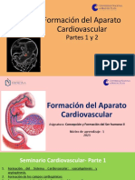 Seminario Cardio Parte 1