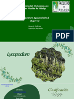 Lycopodium J Lycopodiella y Huperzia )