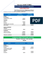 Sección 19 Niif Pymes