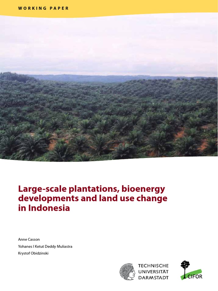 2014 LargeScale Plantations, Bioenergy Developments and Land Use
