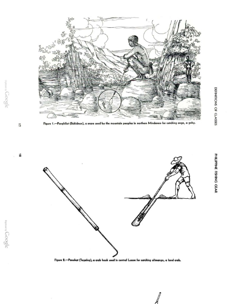 Guide To Classification of Fishing | PDF