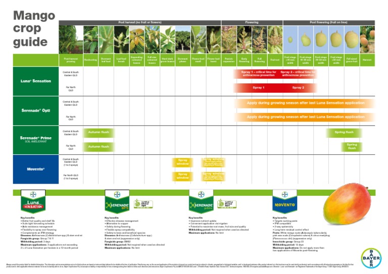 Mango Crop Guide Poster Pdf