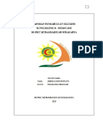 LP SELULITIS Febriana PDF