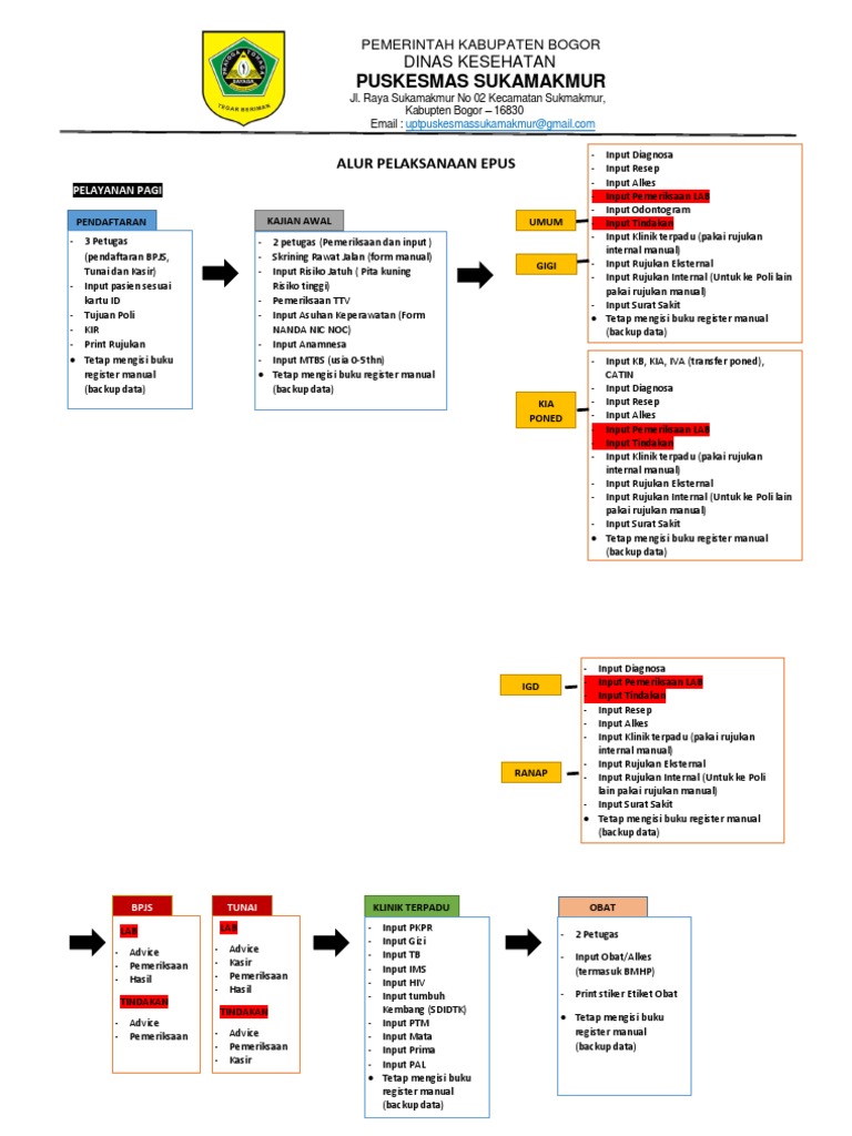 Alur Pelaksanaan EPUS Puskesmas Bogor | PDF