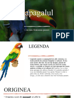 Proiect Papagali 1
