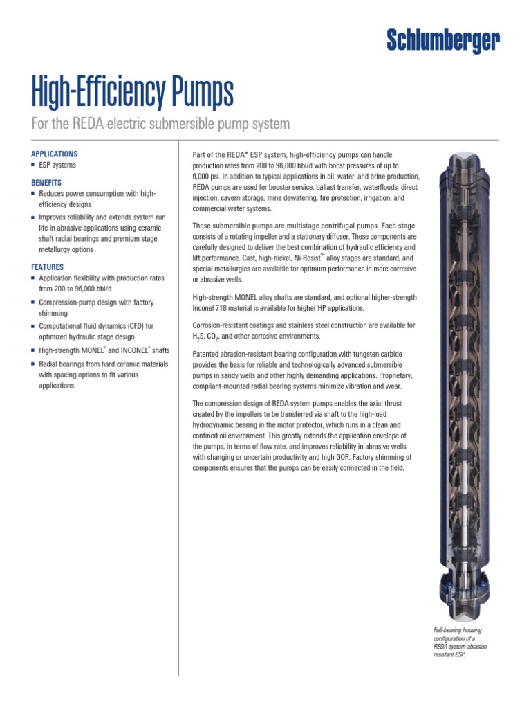 High Efficiency Pumps Ps | PDF | Pump | Bearing (Mechanical)