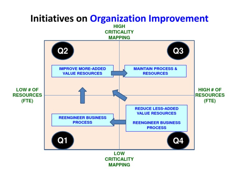 Organization Improvement Strategies | PDF