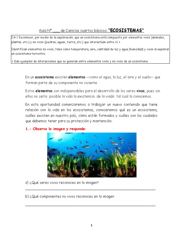Componentes de los Ecosistemas | PDF | Ecosistema | Organismos