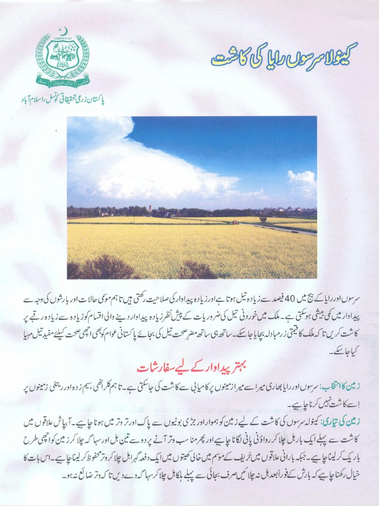 Canola(Oilseeds) PDF