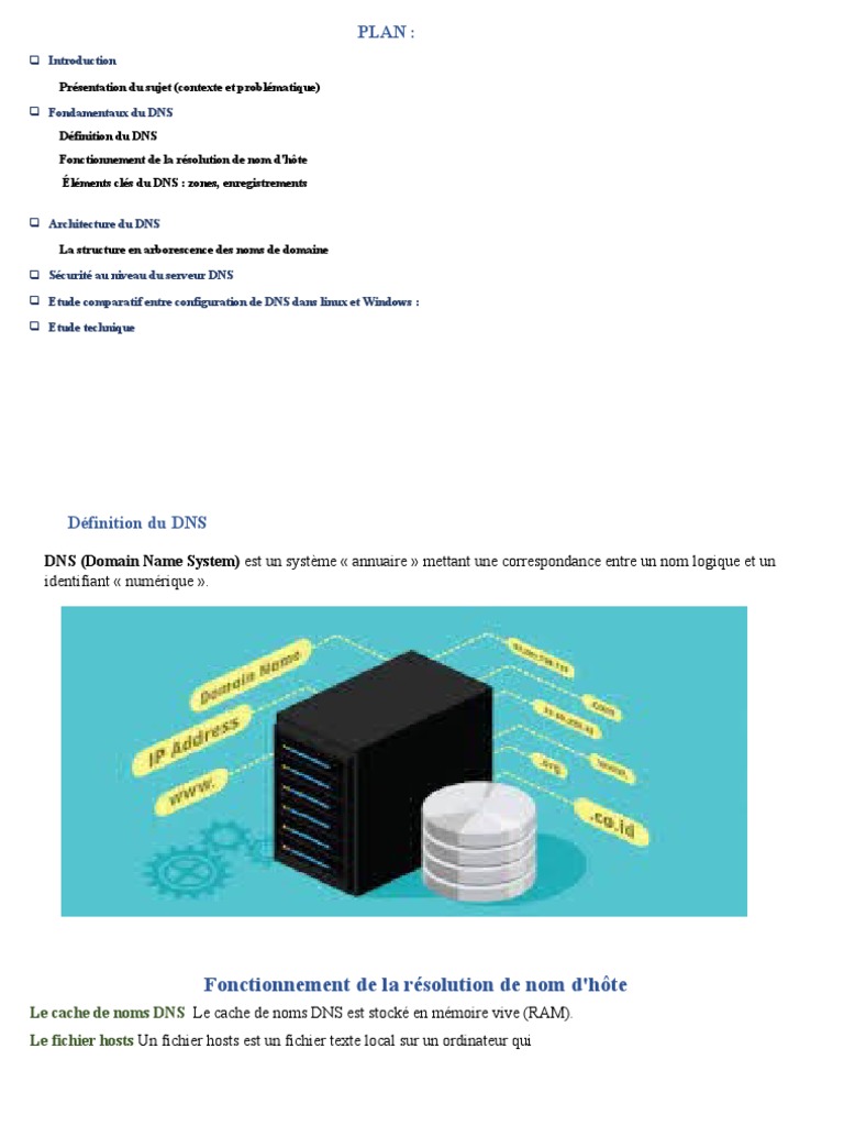 Comparaison DNS sous Linux et Windows | PDF | Système de noms de ...
