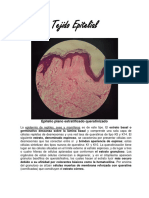 Histología Animal - Resumen de Laboratorio