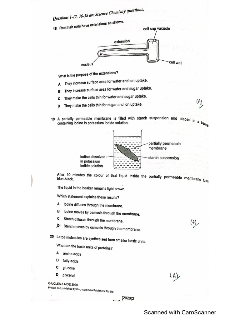 Bio Tys 2020 | PDF
