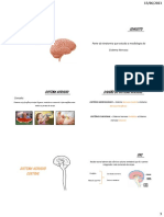 Neuroanatomia_-_Parte_I