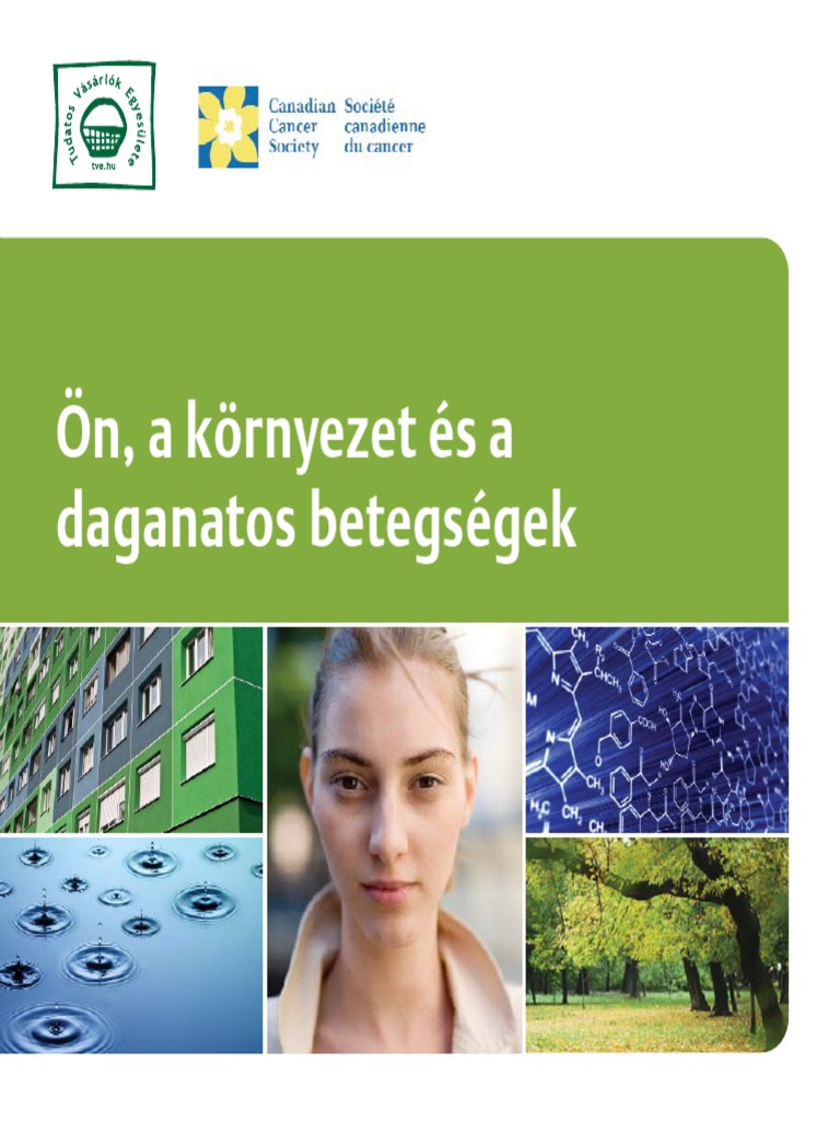 On A Kornyezet Web | PDF