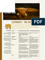 Elephant Factsheet 2
