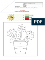 GUIA 3 Act Partes de La Planta