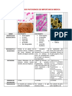 Tabla de Microorganismos