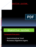(GIT) Digestive System