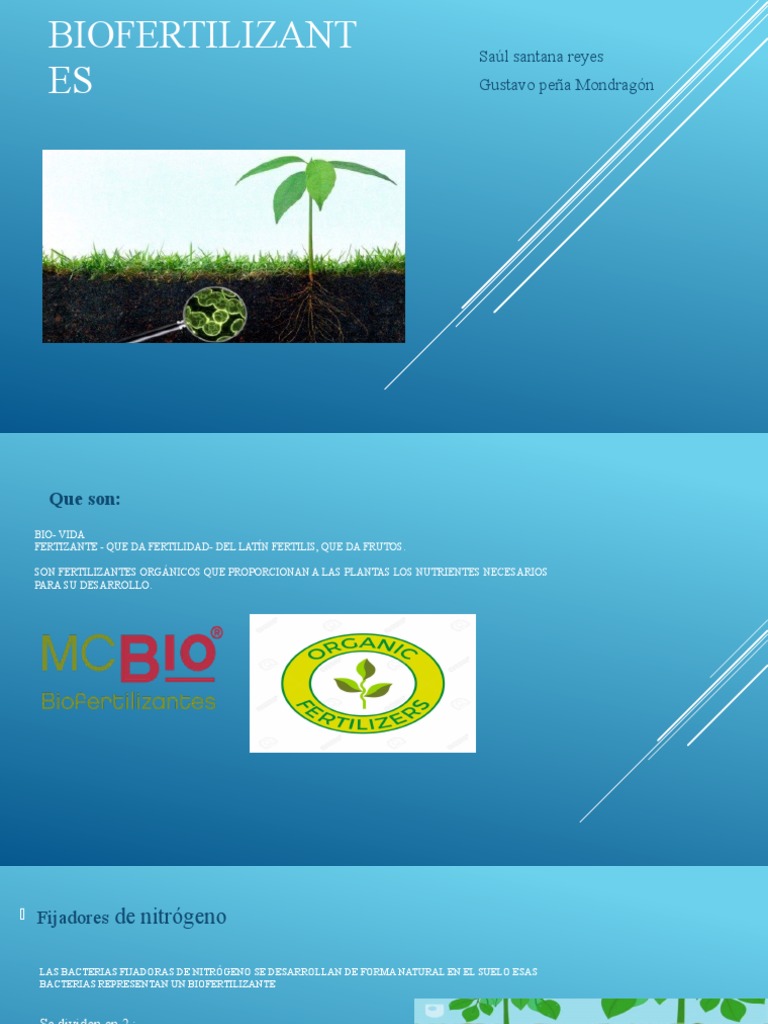 Biofer | PDF