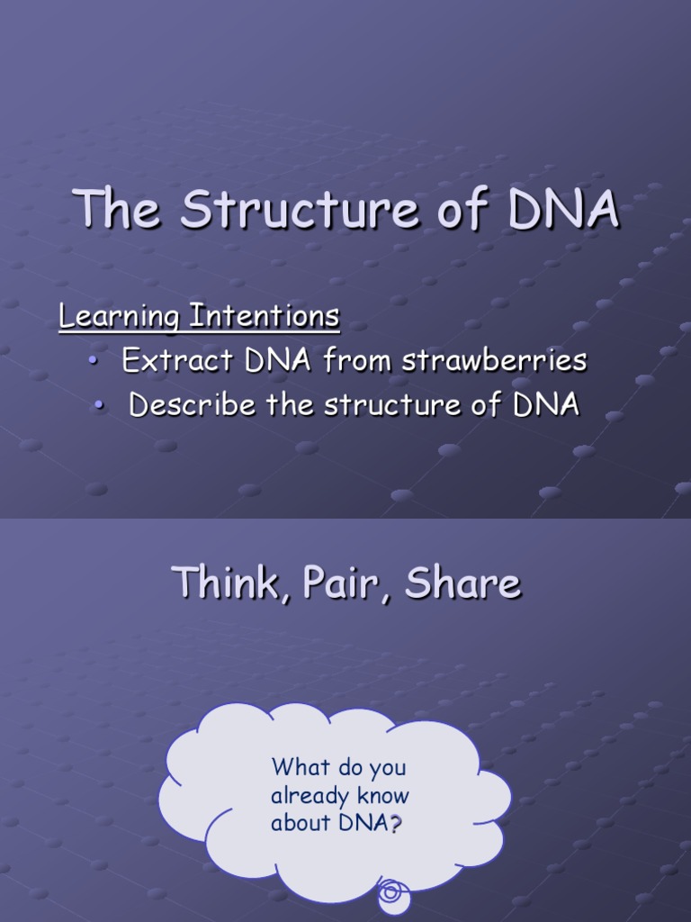 Understanding DNA Structure and Function | PDF | Dna | Base Pair