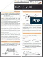 Resumão da Aviação - 02 - TEORIA DE VOO