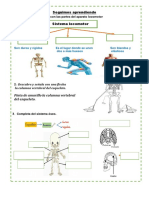 Ciencia Ficha Sistema Locomotor Niños