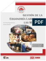 Ebook Gestión de La Ergonomía Laboral en Las Mipymes