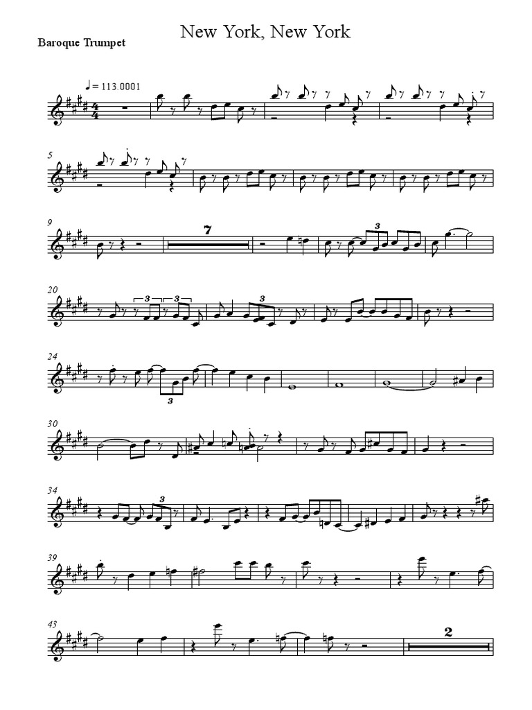 05 NEW YORK PET 1 PDF