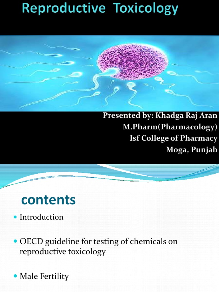 Reproductive Toxicology Study Overview | PDF