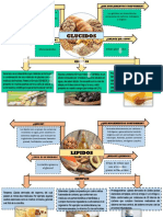 Biomoleculas