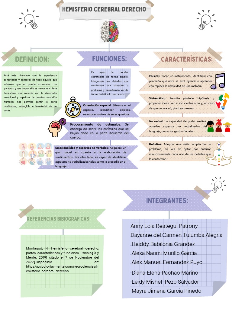 Funciones Del Hemisferio Cerebral Derecho - Grupo 1 | PDF