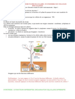 Chapitre I Spécialisation Cellules 2021