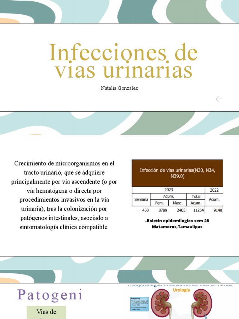 Infecciones de Vias Urinarias-Natalia GLZ | PDF | Infección del tracto ...