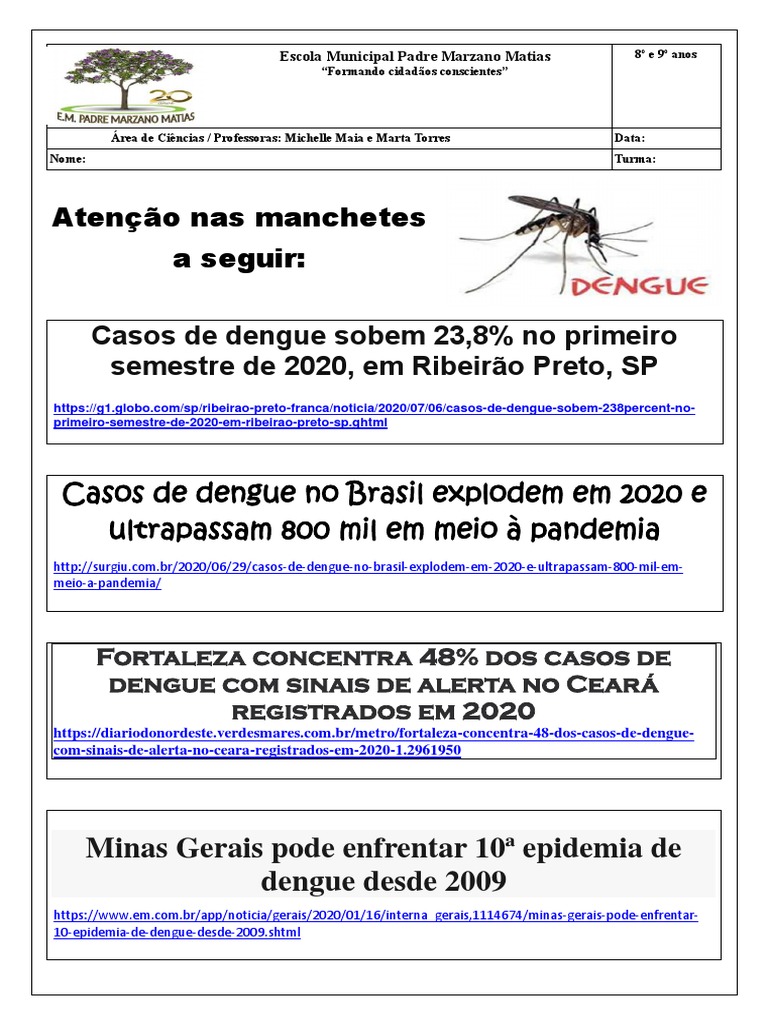 Aumento de Casos de Dengue em 2020 | PDF | Ciências Sociais