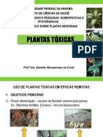 Plantas Tóxicas